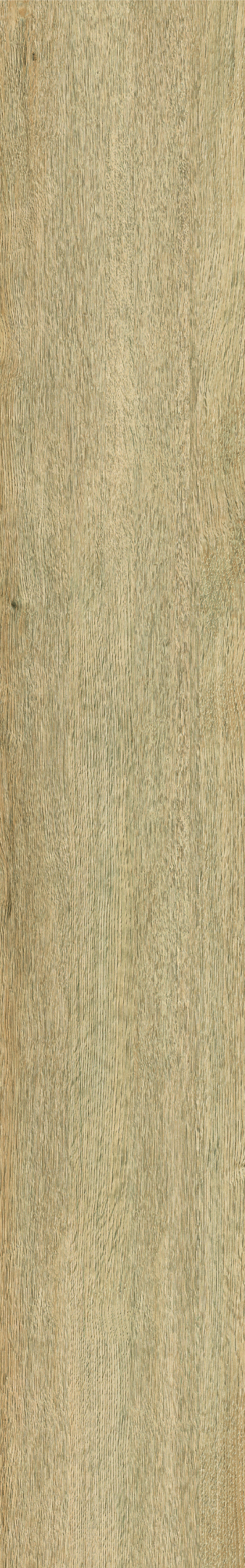 Oca HD 19x123 - Face 3.jpg